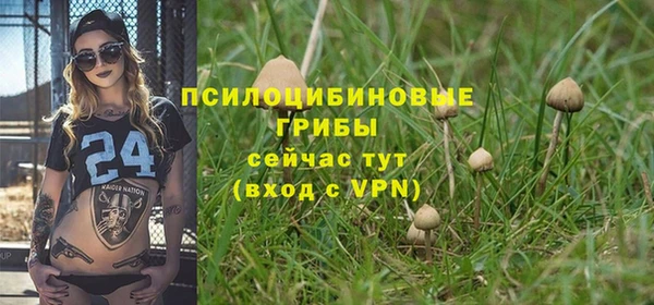 бутират Краснотурьинск