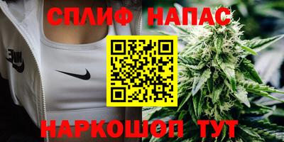 сатива Гусиноозёрск