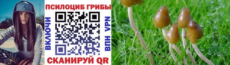 купить наркотики цена Оренбург Псилоцибиновые грибы мухоморы