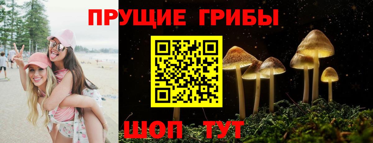 Галлюциногенные грибы GOLDEN TEACHER Оренбург